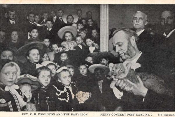 All the Children of the World