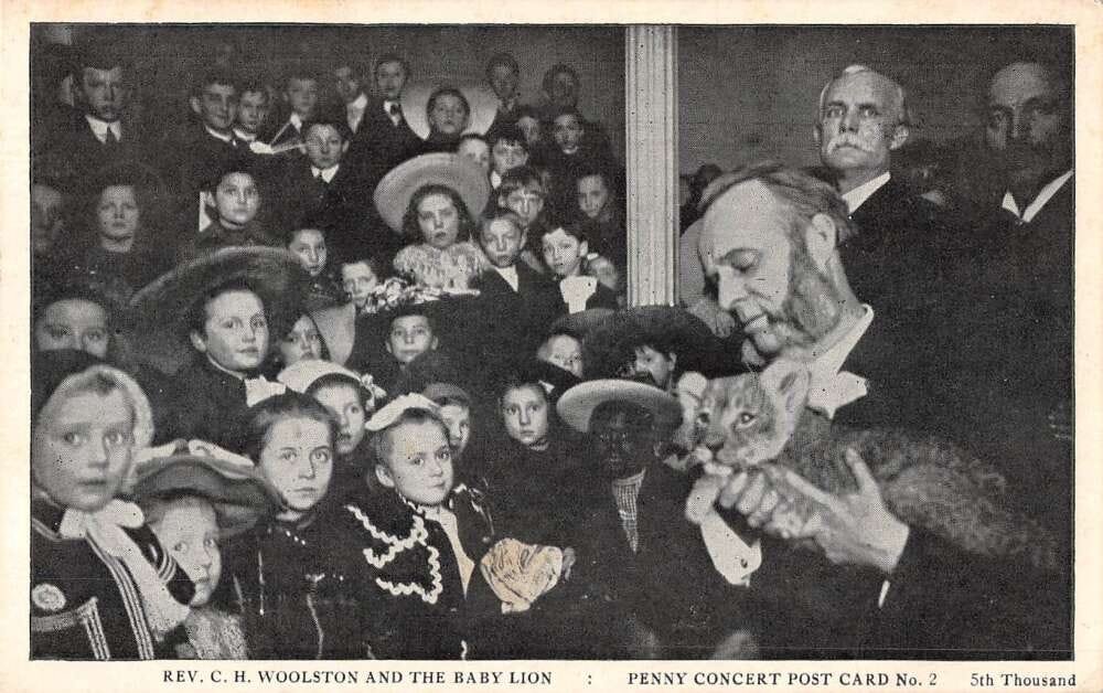 All the Children of the World