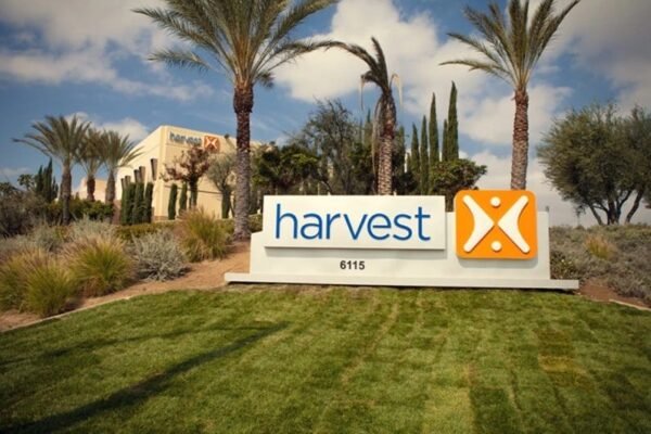 The Harvest No One Preached About